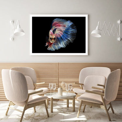 Fighter Fish Closeup Photograph Home Decor Premium Quality Poster Print Choose Your Sizes