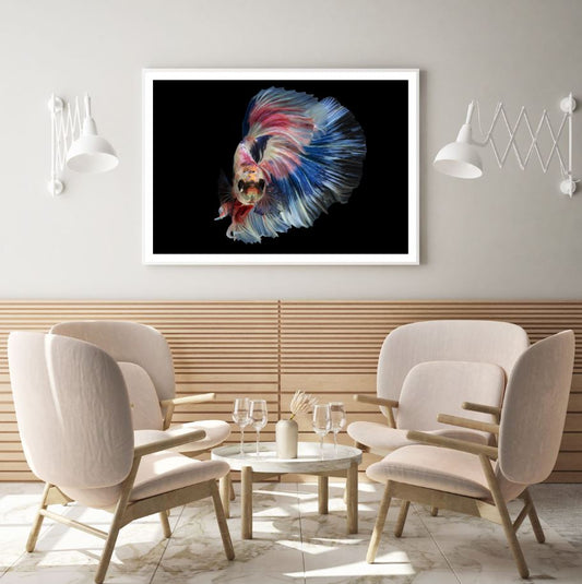 Fighter Fish Closeup Photograph Home Decor Premium Quality Poster Print Choose Your Sizes
