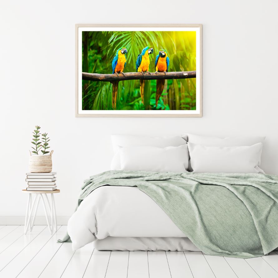 Macaw Bird on a Tree Photograph Home Decor Premium Quality Poster Print Choose Your Sizes