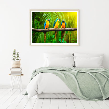 Macaw Bird on a Tree Photograph Home Decor Premium Quality Poster Print Choose Your Sizes