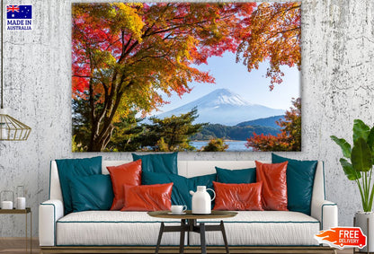 Stunning Forest Scenery Photograph Print 100% Australian Made