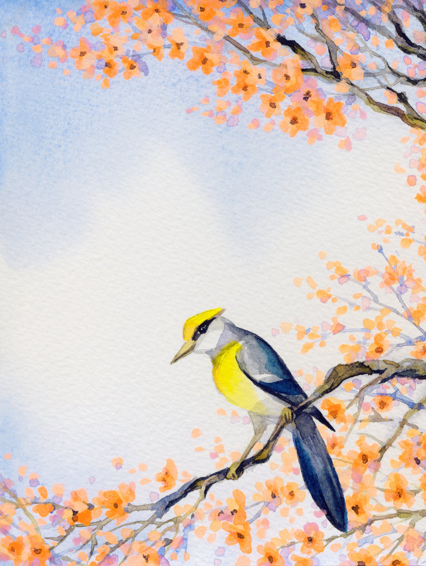 Bird on a Tree Watercolor Painting Print 100% Australian Made