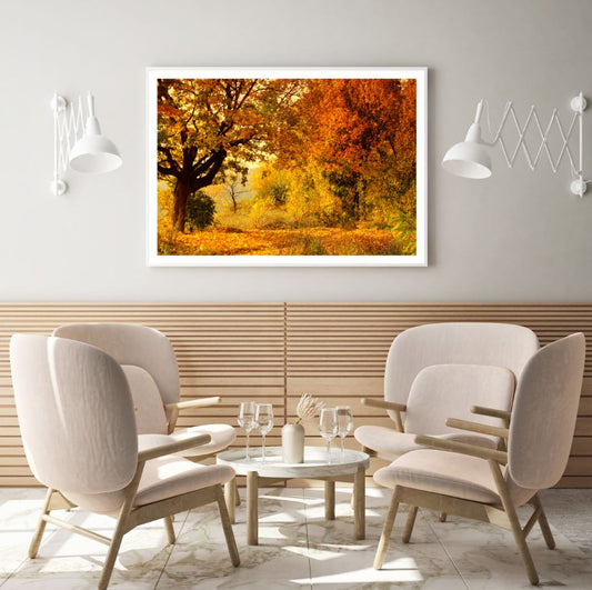 Autumn Forest Scenery Photograph Home Decor Premium Quality Poster Print Choose Your Sizes