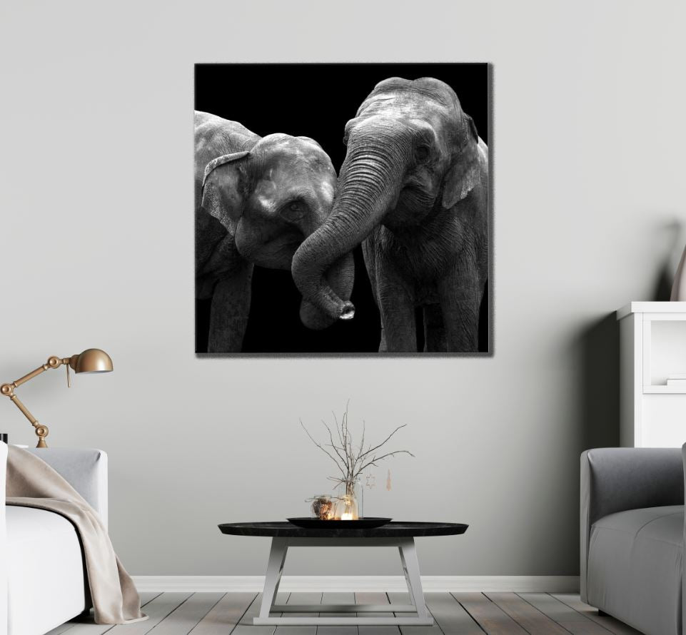 Square Canvas Elephants Closeup B&W Photograph High Quality Print 100% Australian Made