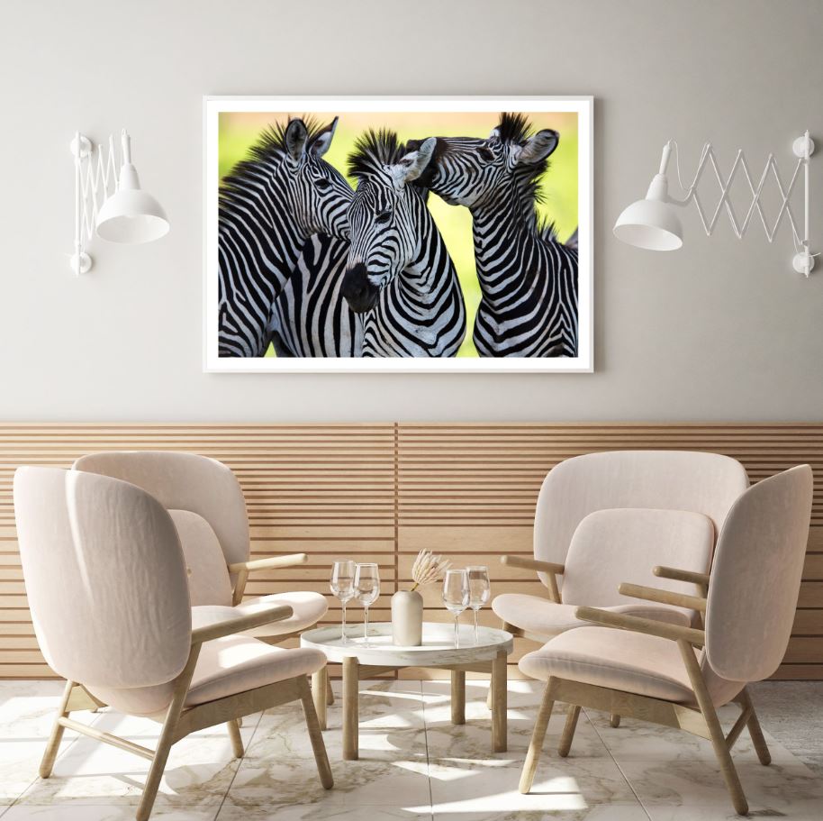 Zebras Potrait Photograph Home Decor Premium Quality Poster Print Choose Your Sizes