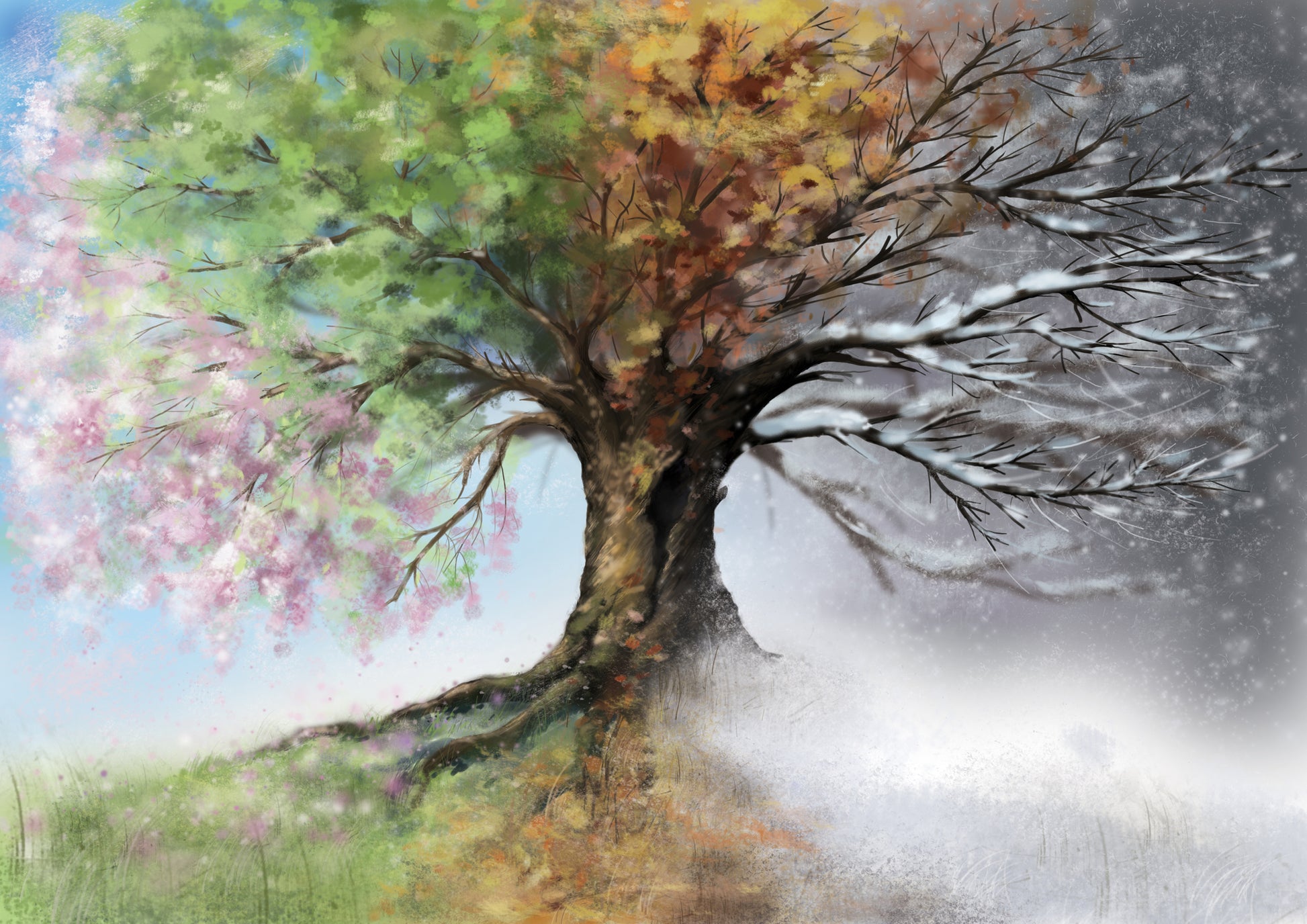 4 Season Showing Tree Watercolor Painting Print 100% Australian Made