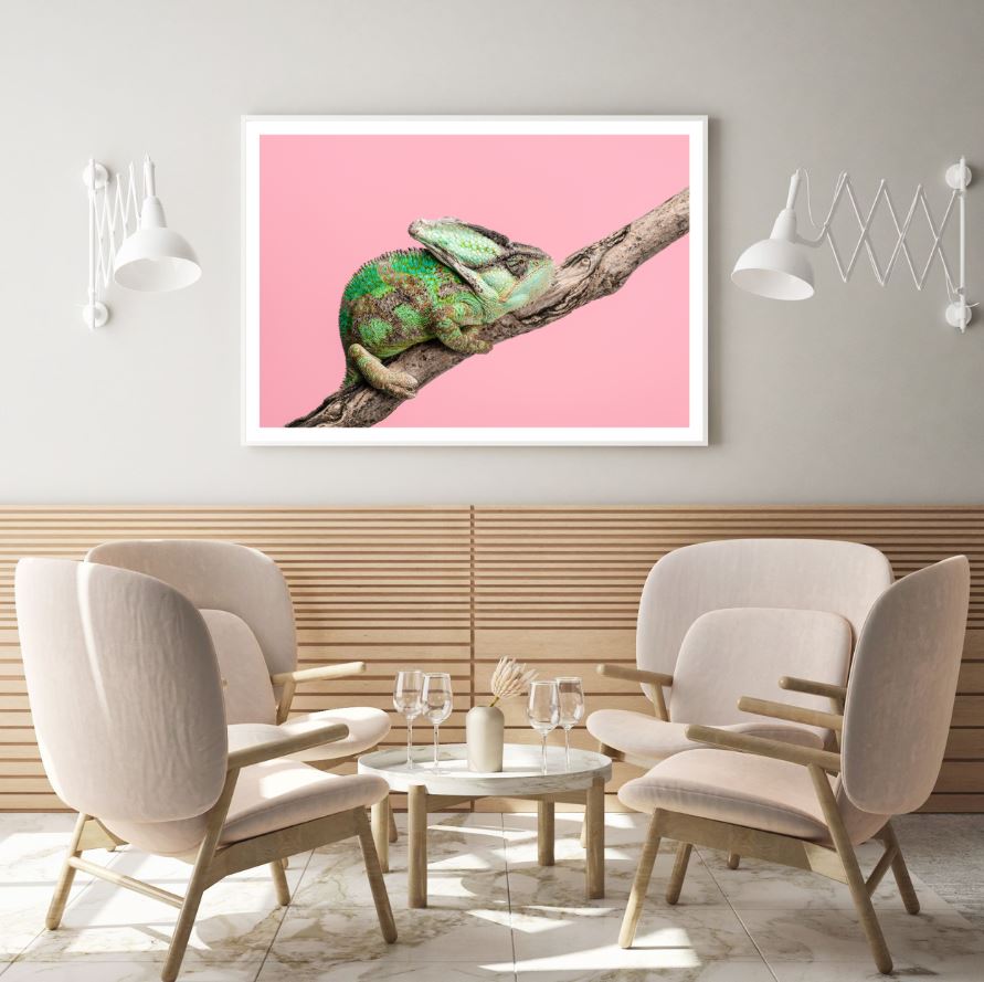 Chameleon on a Tree Photograph Home Decor Premium Quality Poster Print Choose Your Sizes