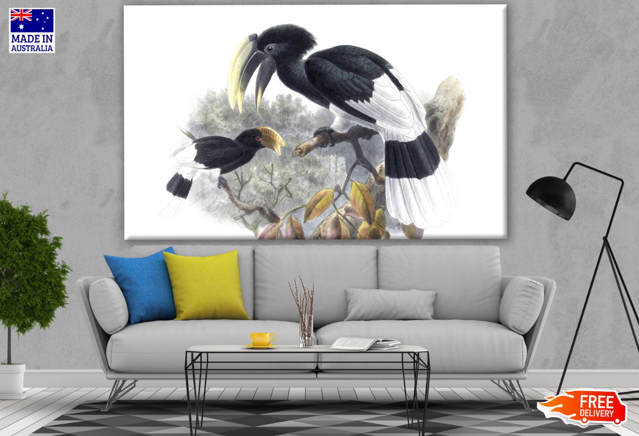 White-Thighed Hornbill Birds Watercolor Painting Print 100% Australian Made