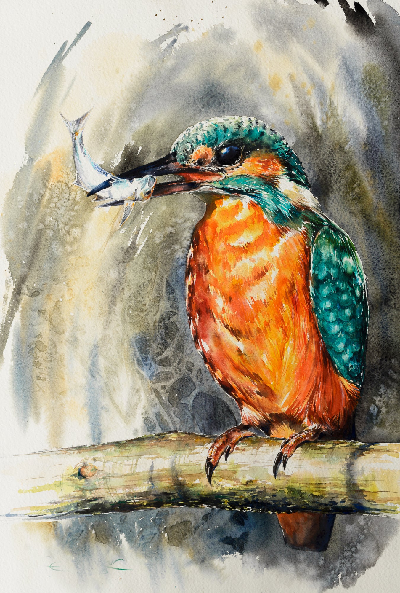 Kingfisher with Small Fish Watercolor Painting Print 100% Australian Made