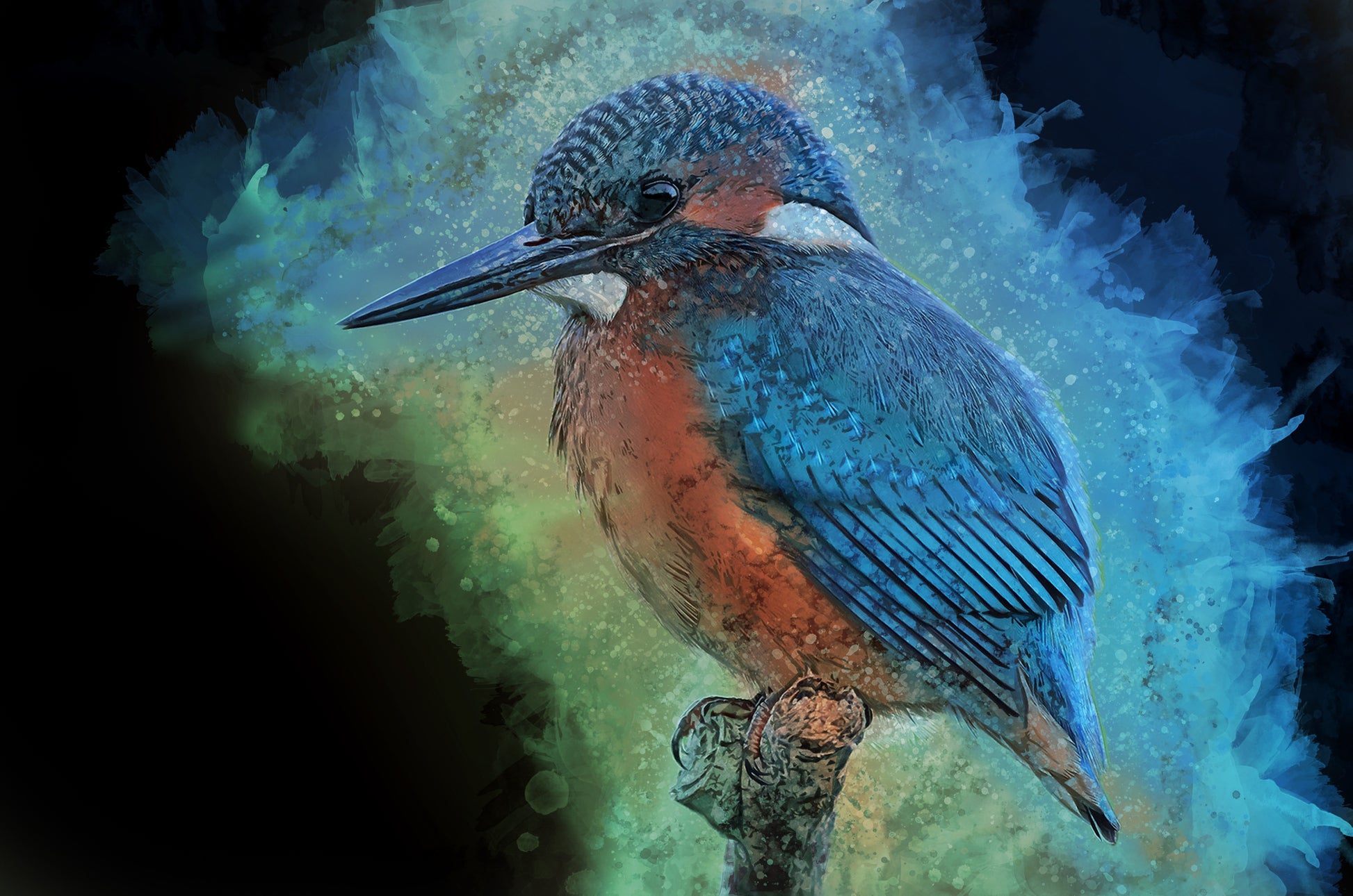 Kingfisher Bird Watercolor Painting Print 100% Australian Made