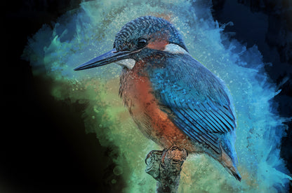 Kingfisher Bird Watercolor Painting Print 100% Australian Made