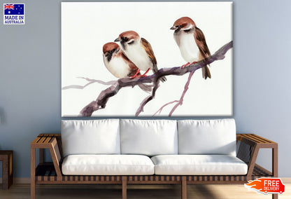 Birds on Tree Branch Watercolor Painting Print 100% Australian Made