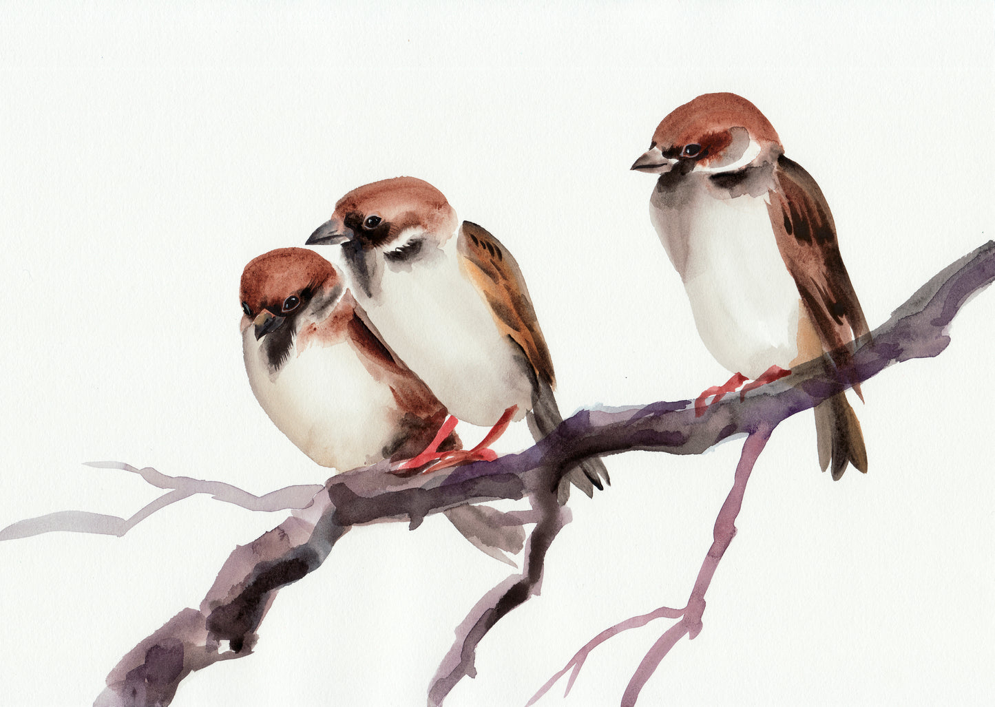 Birds on Tree Branch Watercolor Painting Print 100% Australian Made