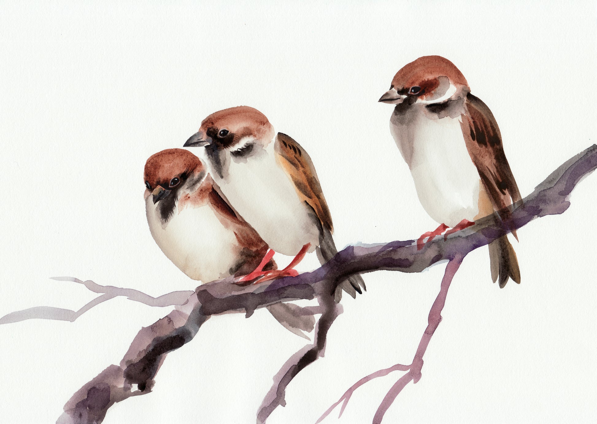 Birds on Tree Branch Watercolor Painting Print 100% Australian Made