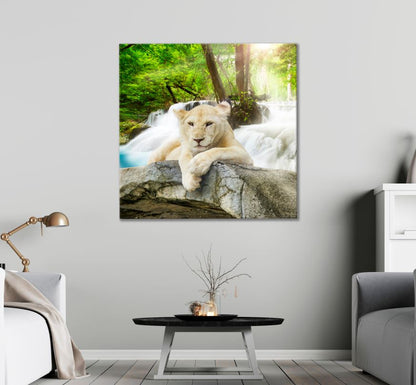 Square Canvas White Lioness in Forest Photograph High Quality Print 100% Australian Made