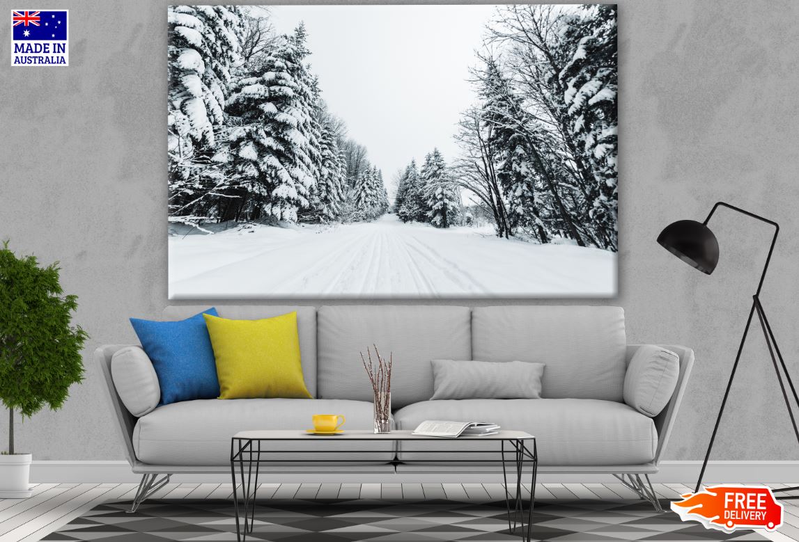 Snowy Forest Photograph Print 100% Australian Made