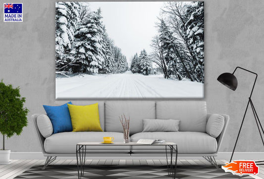 Snowy Forest Photograph Print 100% Australian Made