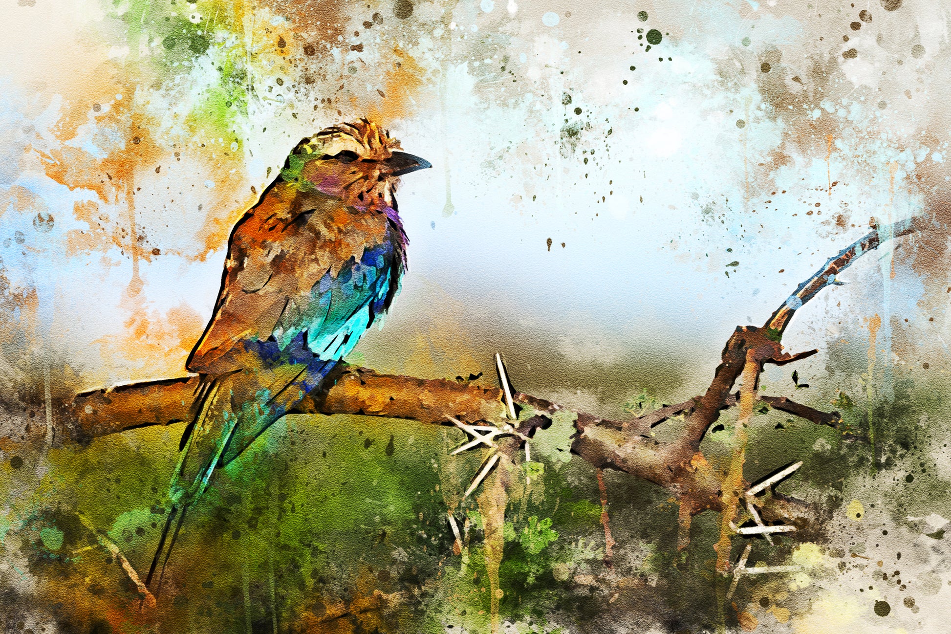 Bird on a Branch Watercolor Painting Print 100% Australian Made