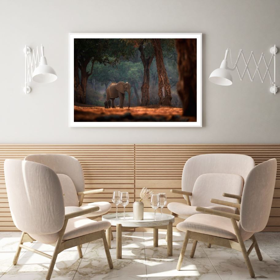 Elephants in Forest Photograph Home Decor Premium Quality Poster Print Choose Your Sizes