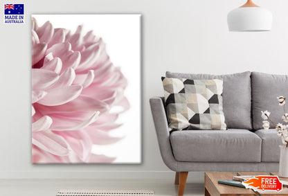 Pink Flower Closeup Photograph Print 100% Australian Made