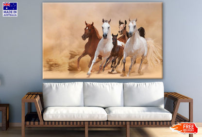 Running Horses Photograph Print 100% Australian Made