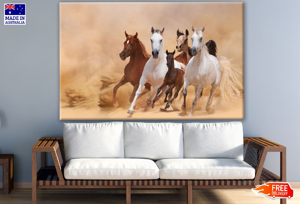 Running Horses on Sand Ground Photograph Print 100% Australian Made