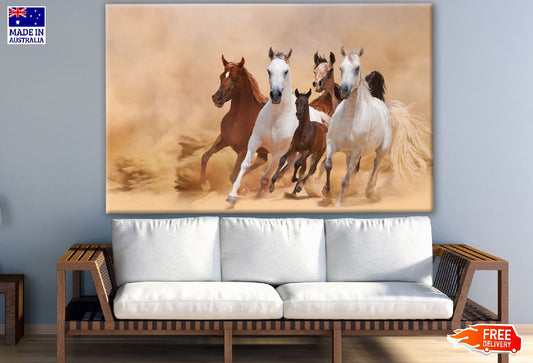 Running Horses on Sand Ground Photograph Print 100% Australian Made