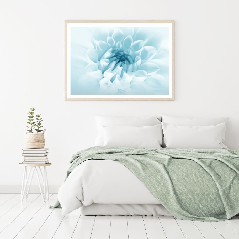 Blue & White Flower Photograph Home Decor Premium Quality Poster Print Choose Your Sizes