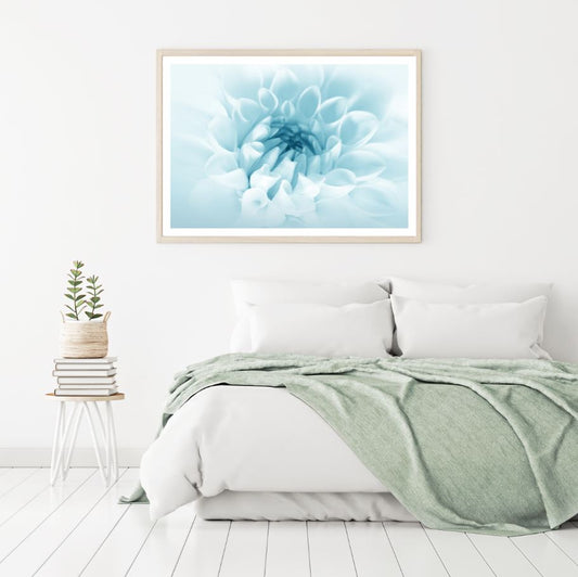 Blue & White Flower Photograph Home Decor Premium Quality Poster Print Choose Your Sizes
