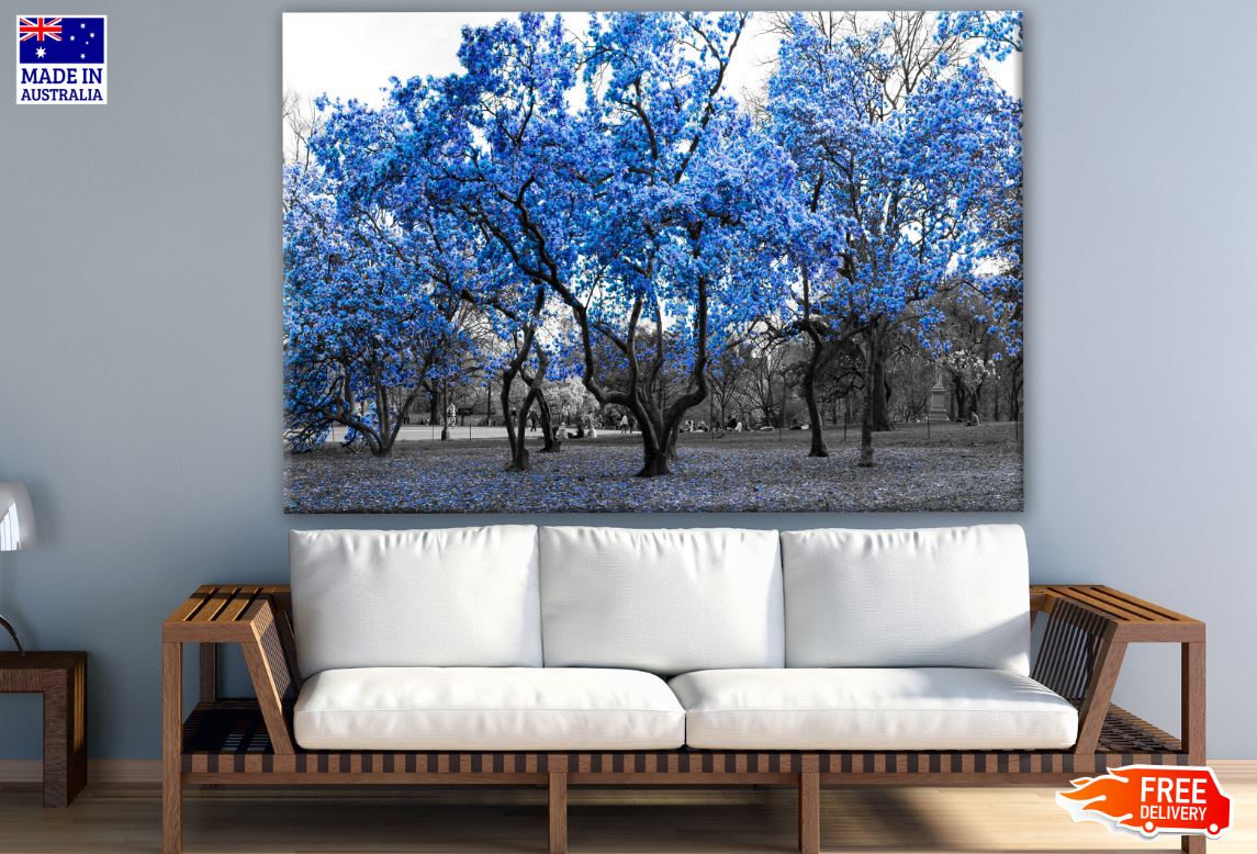 B&W Trees with Blue Leaves Print 100% Australian Made