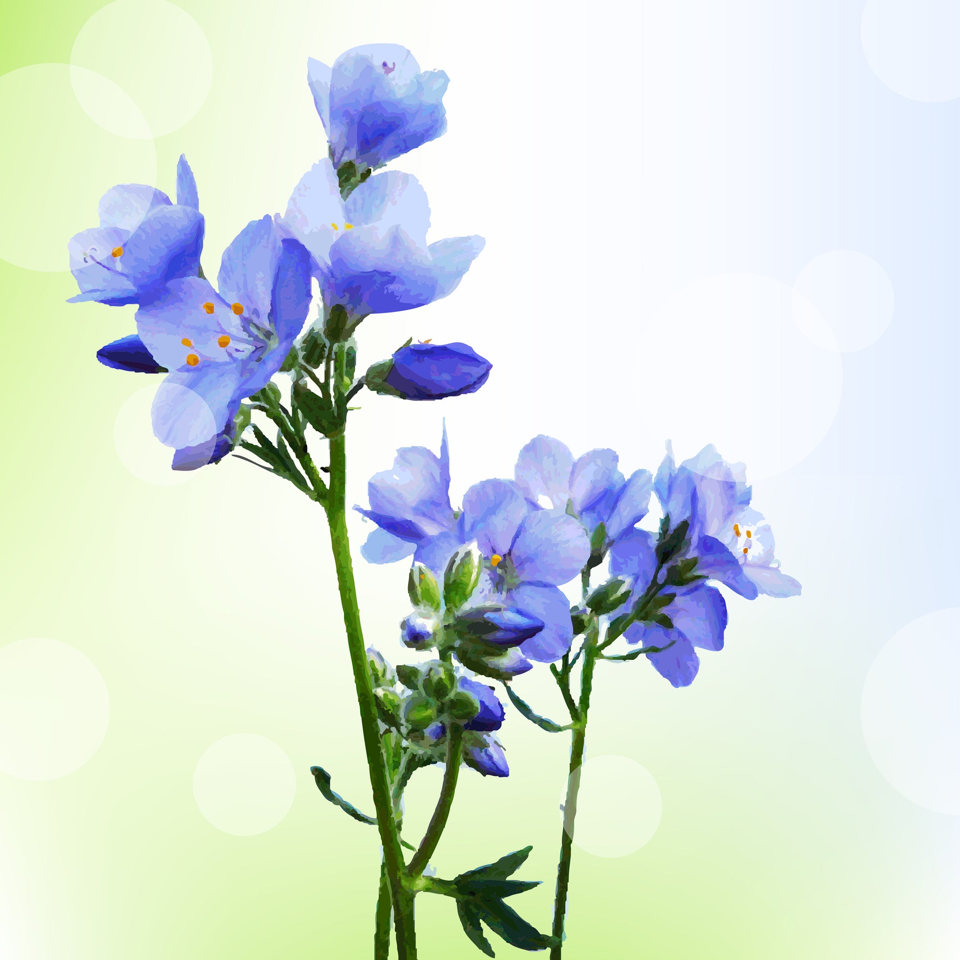 Square Canvas Blue Floral Watercolor Painting High Quality Print 100% Australian Made