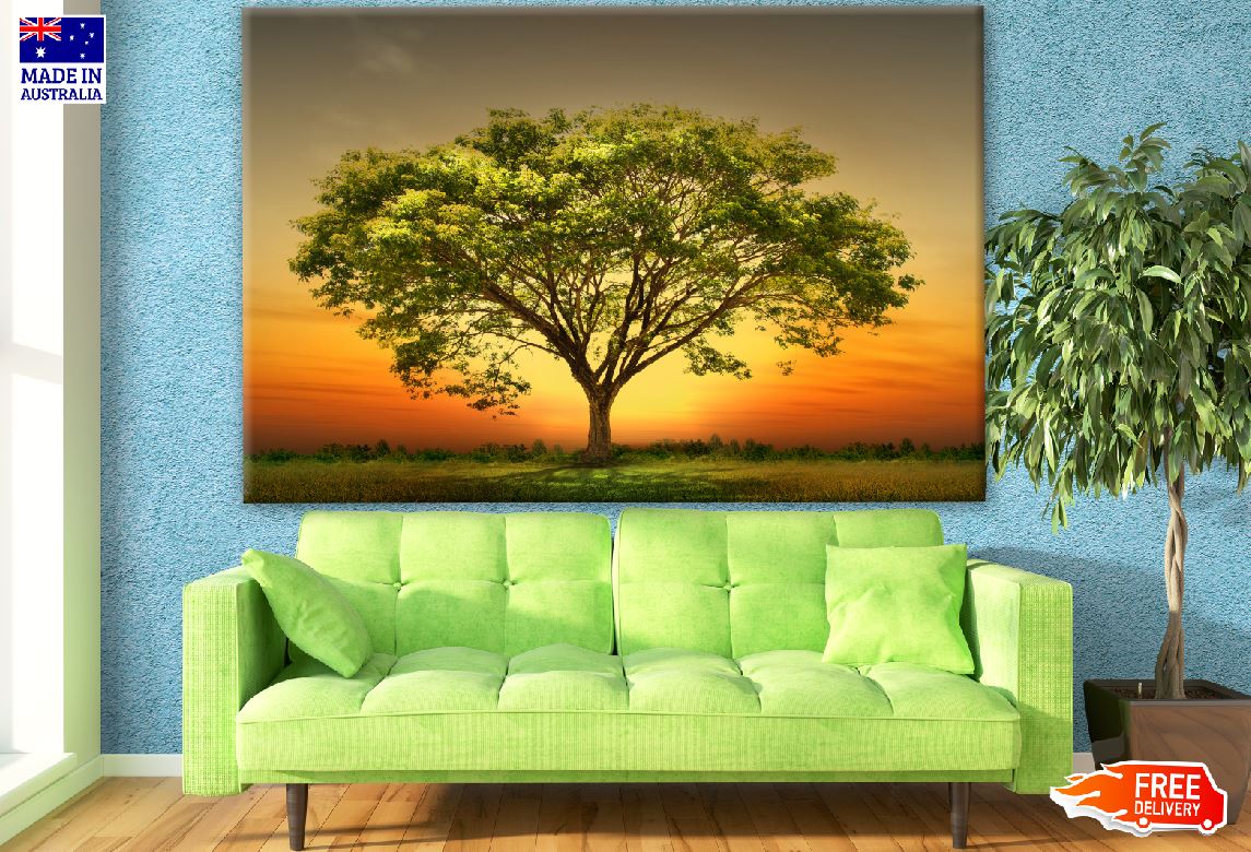 Tree at Sunset Photograph Print 100% Australian Made