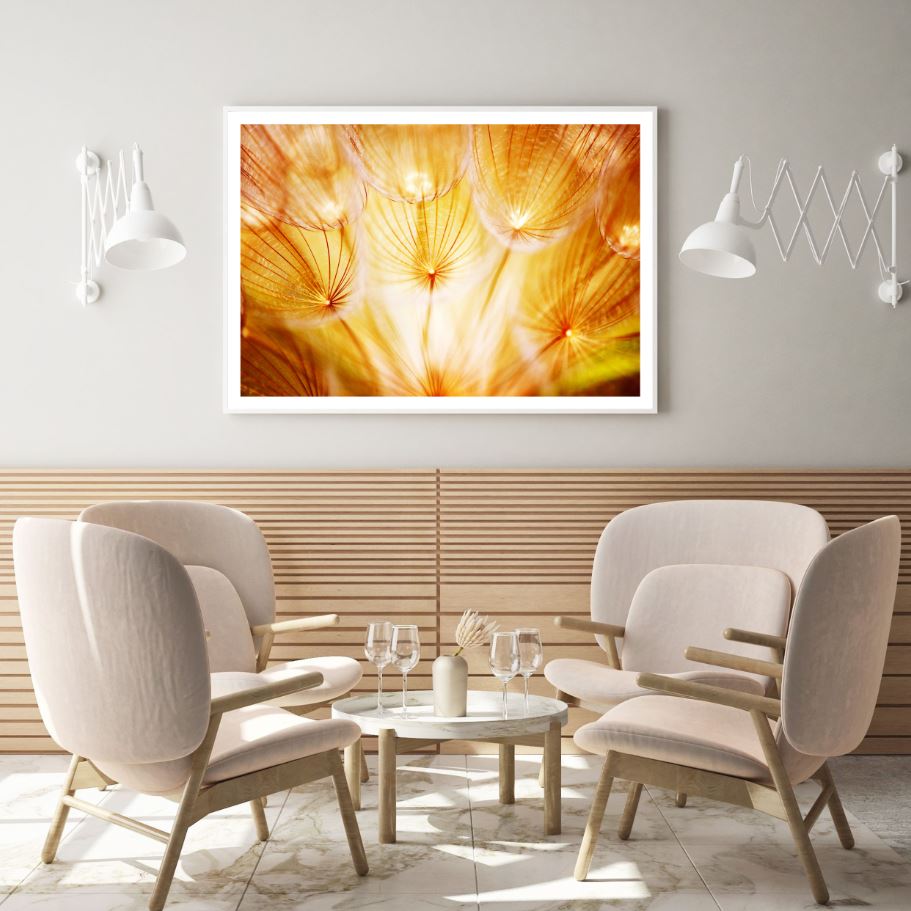 Dandelion Flowers Closeup View Home Decor Premium Quality Poster Print Choose Your Sizes