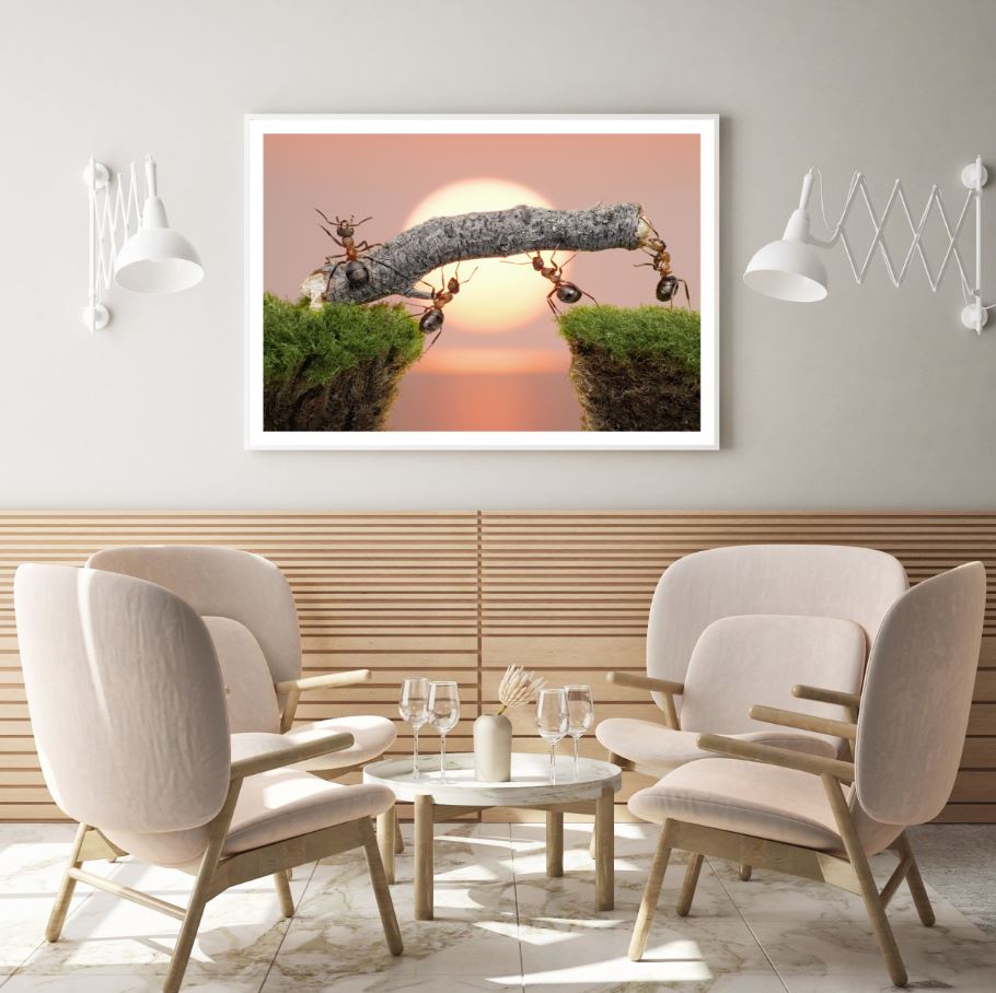 Ants Working Closeup Photograph Home Decor Premium Quality Poster Print Choose Your Sizes