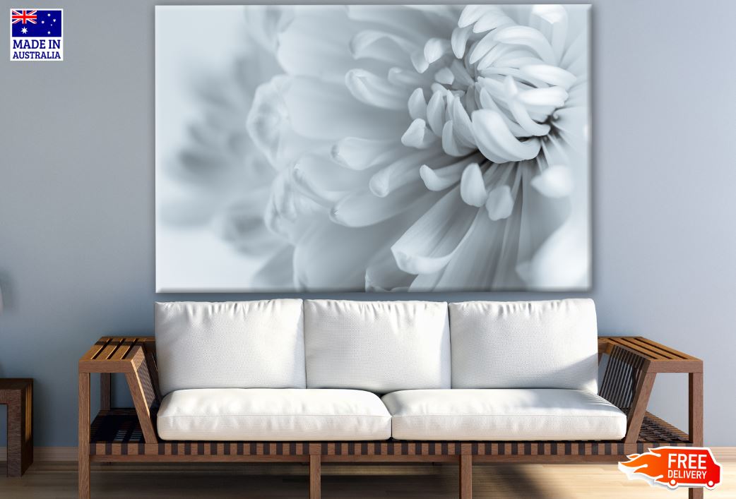 White Flower Closeup Photograph Print 100% Australian Made