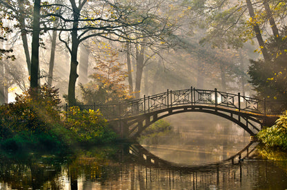 Bridge Over a Water Stream in Deep Forest Print 100% Australian Made