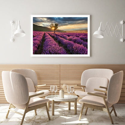 Lavender Field Scenery Photograph Home Decor Premium Quality Poster Print Choose Your Sizes