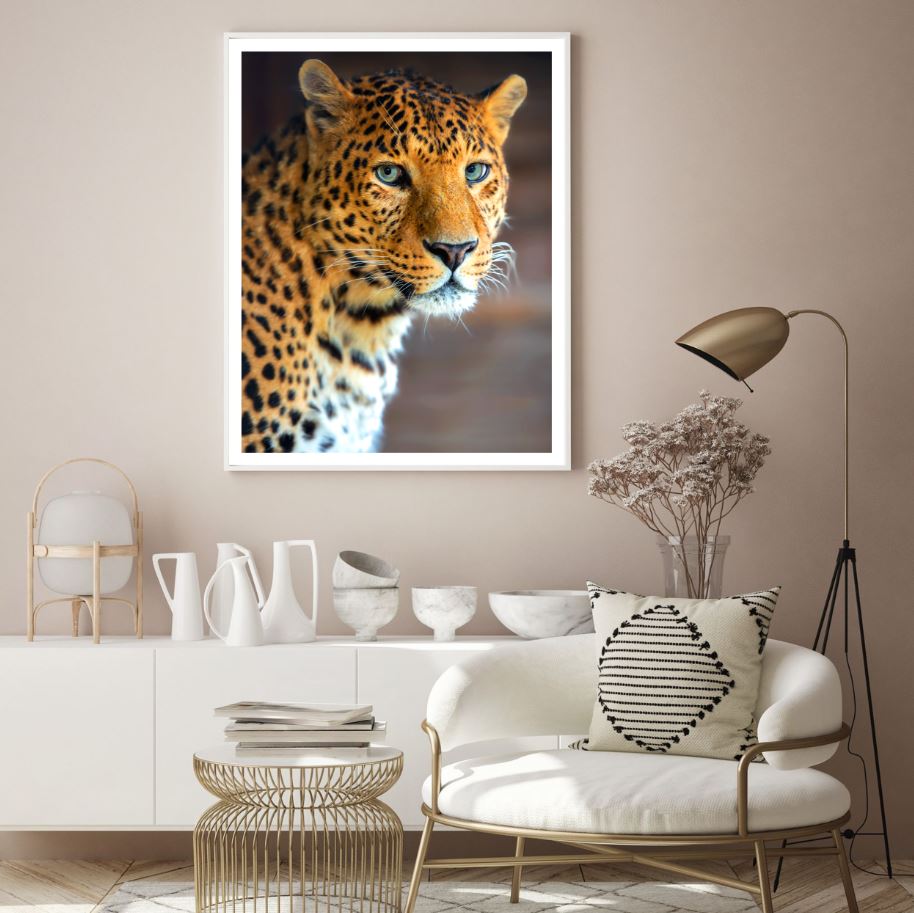 Leopard Portrait Photograph Home Decor Premium Quality Poster Print Choose Your Sizes