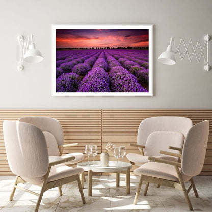 Lavender Flower Field Photograph Home Decor Premium Quality Poster Print Choose Your Sizes