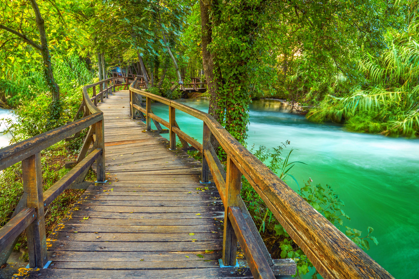 Wooden Bridge Over River Scenery Photograph Home Decor Premium Quality Poster Print Choose Your Sizes