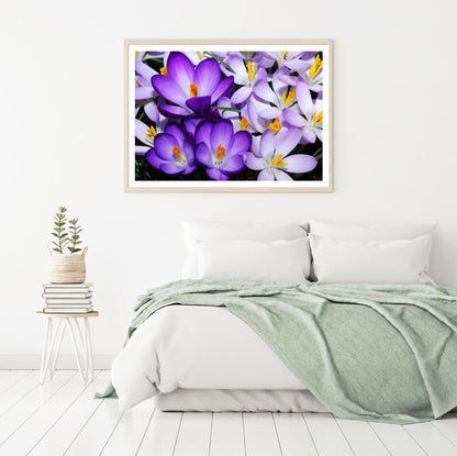 Purple Flowers Closeup Photograph Home Decor Premium Quality Poster Print Choose Your Sizes