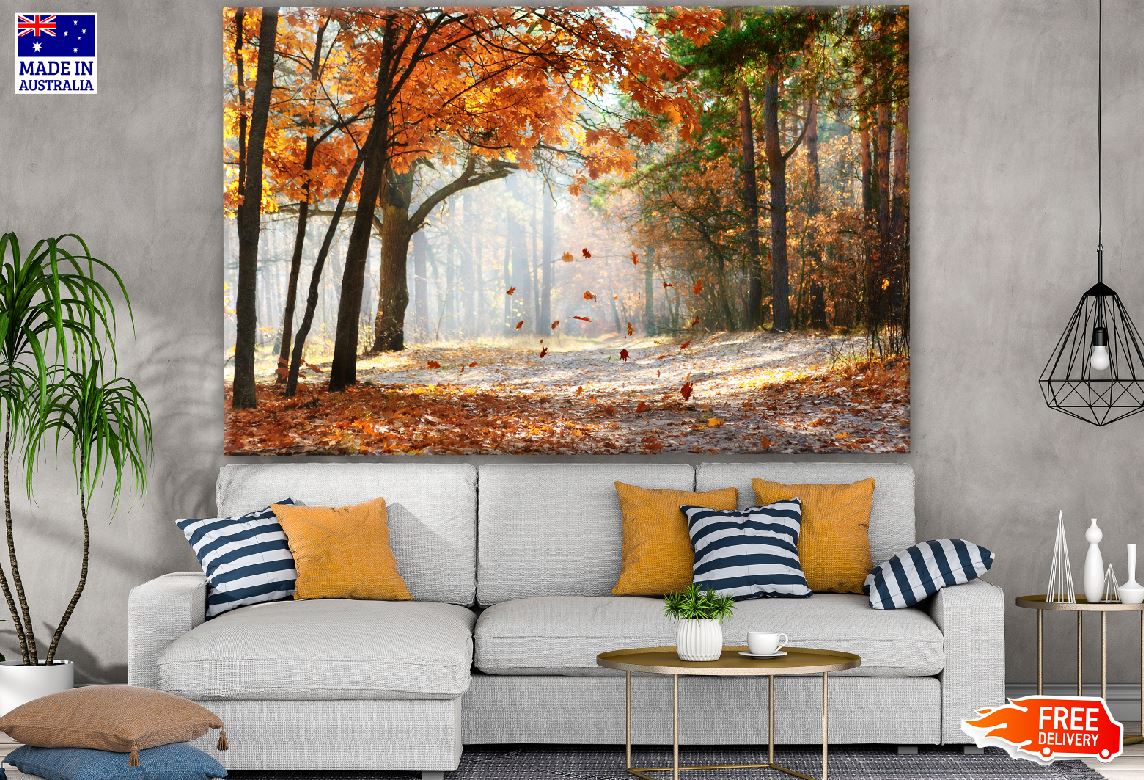 Stunning Autumn Forest Photograph Print 100% Australian Made