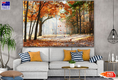 Stunning Autumn Forest Photograph Print 100% Australian Made