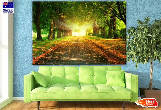 Road Between Autumn Forest Photograph Print 100% Australian Made