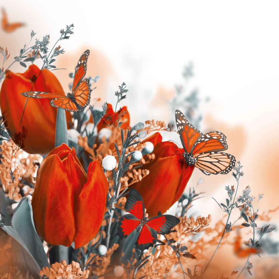 Square Canvas Red Flowers & Butterflies High Quality Print 100% Australian Made