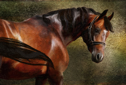 Horse Portrait Oil Painting Home Decor Premium Quality Poster Print Choose Your Sizes