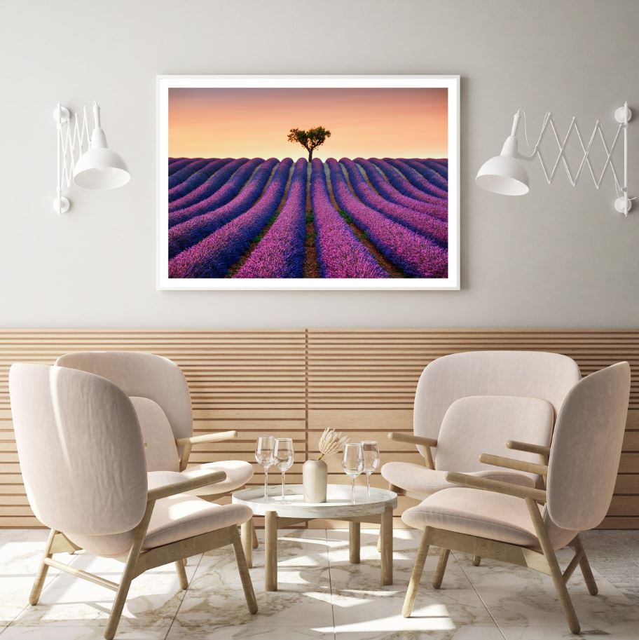 Lavender Field Scenery Photograph Home Decor Premium Quality Poster Print Choose Your Sizes