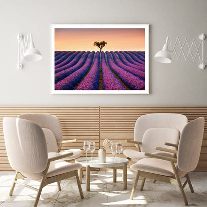 Lavender Field Scenery Photograph Home Decor Premium Quality Poster Print Choose Your Sizes