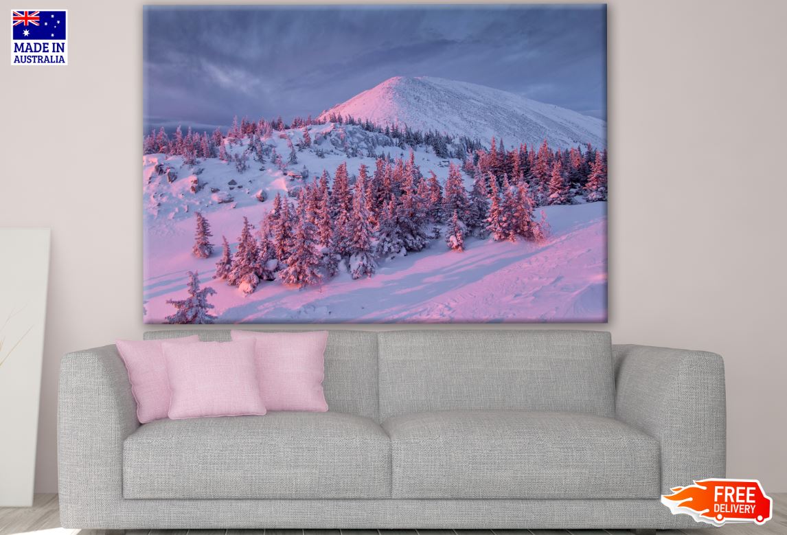Stunning Snow Capped Forest Photograph Print 100% Australian Made