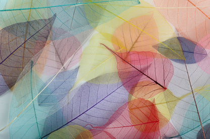 Wallpaper Murals Peel and Stick Removable Colorful Transparent Leaves Design High Quality